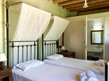 One Bedroom Apartment