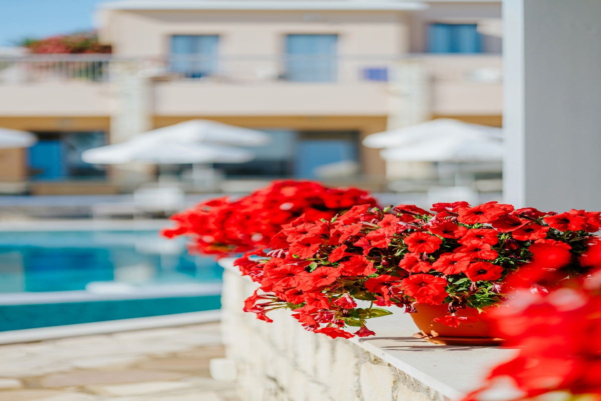 louisstelias-06_1654526732JPG