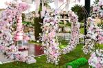 055-PEH-wedding_114844961
