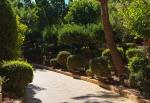 209-LS-landscape_114880804