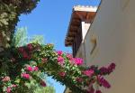 210-A-exterior_114880805