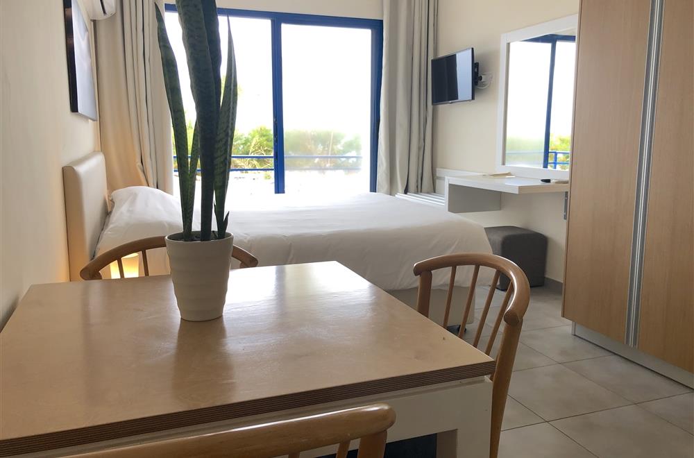 Standard studio garden view