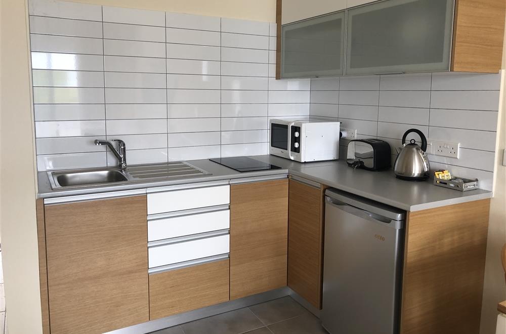 Standard studio garden view