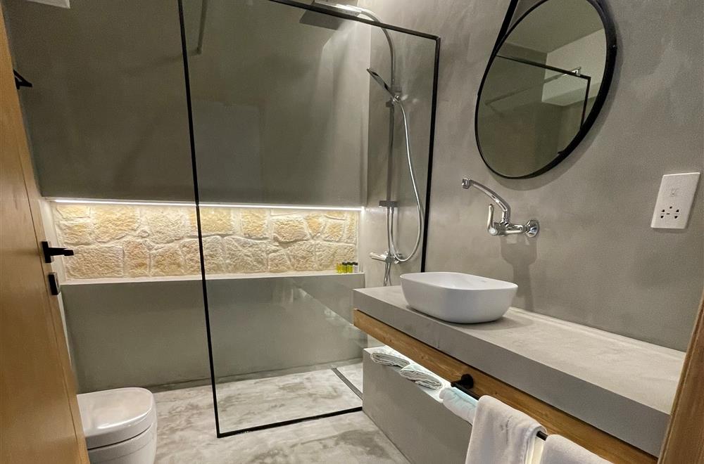 Deluxe studio sea view