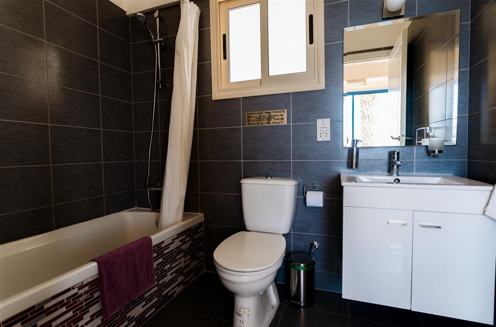 Standard studio garden view