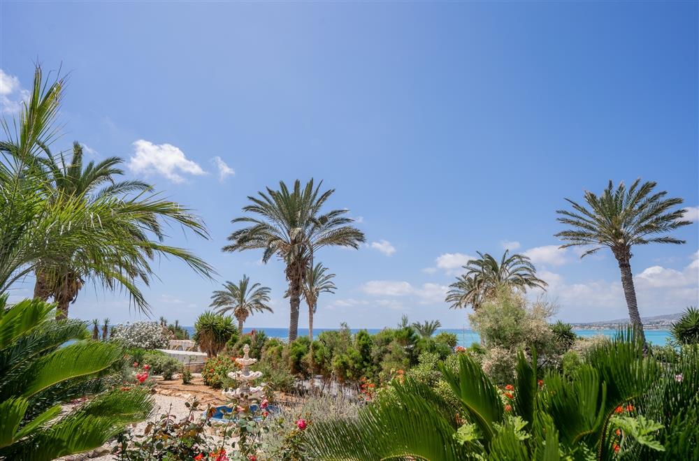 Standard studio garden view