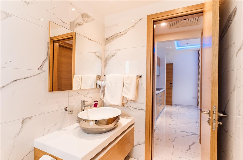 Executive one bedroom suite mountain view