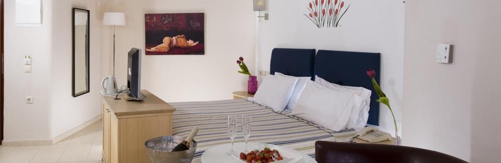 ikaros_classic_room2_topMedia