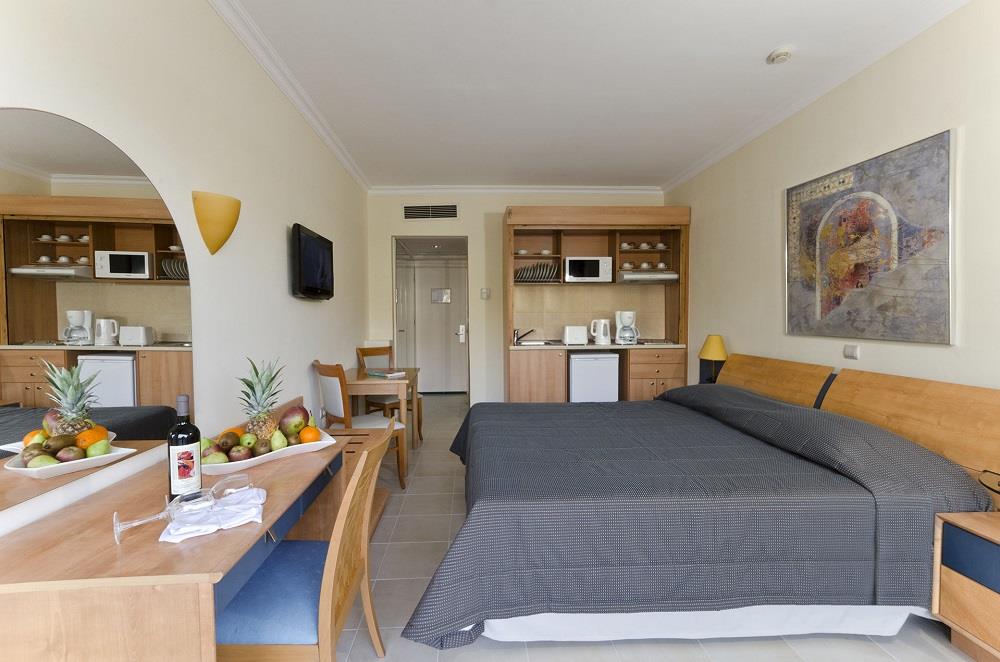 Superior Studio Garden View