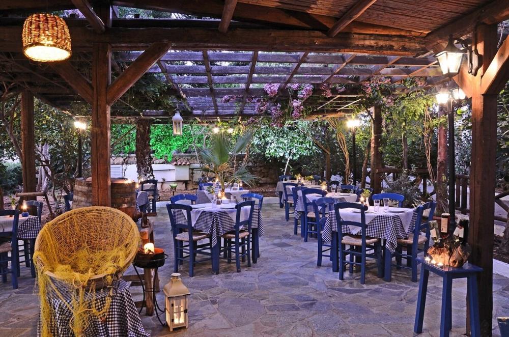 alexander_beach_meltemi-back-yard