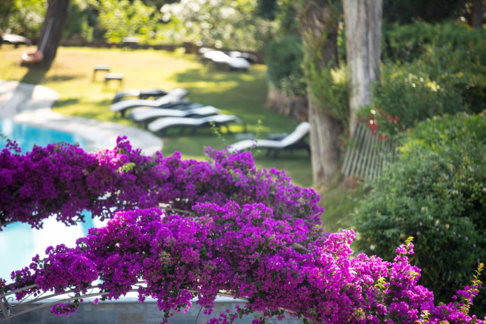 HOTEL-GROUNDS-3-1170x780