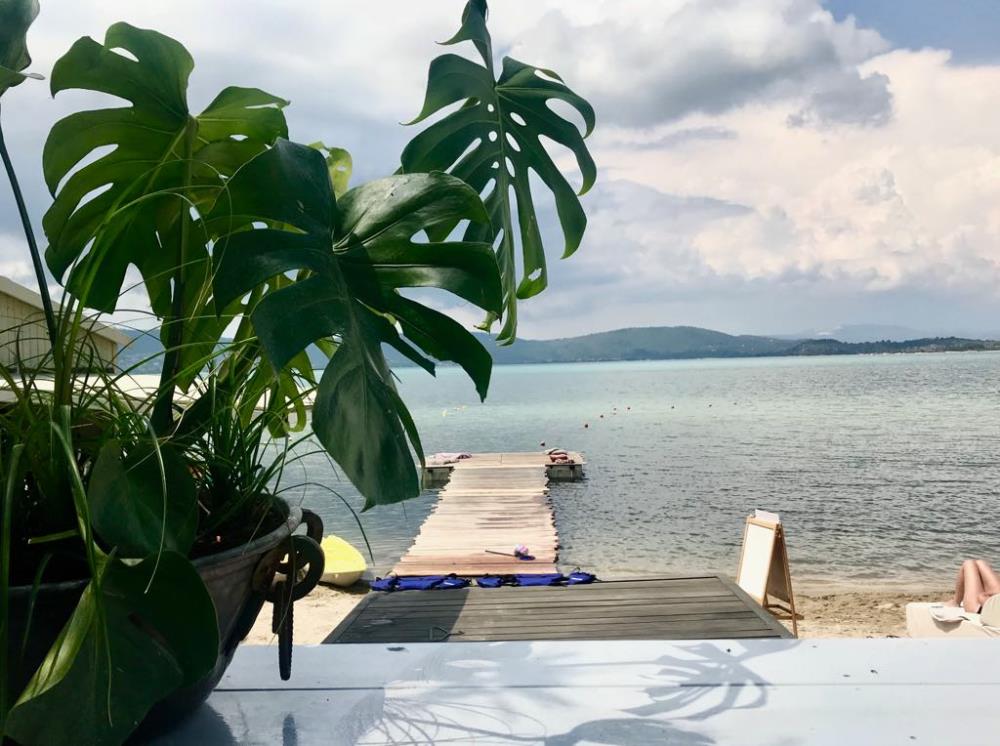 32155311_1906372039382062_9164548869143396352_o