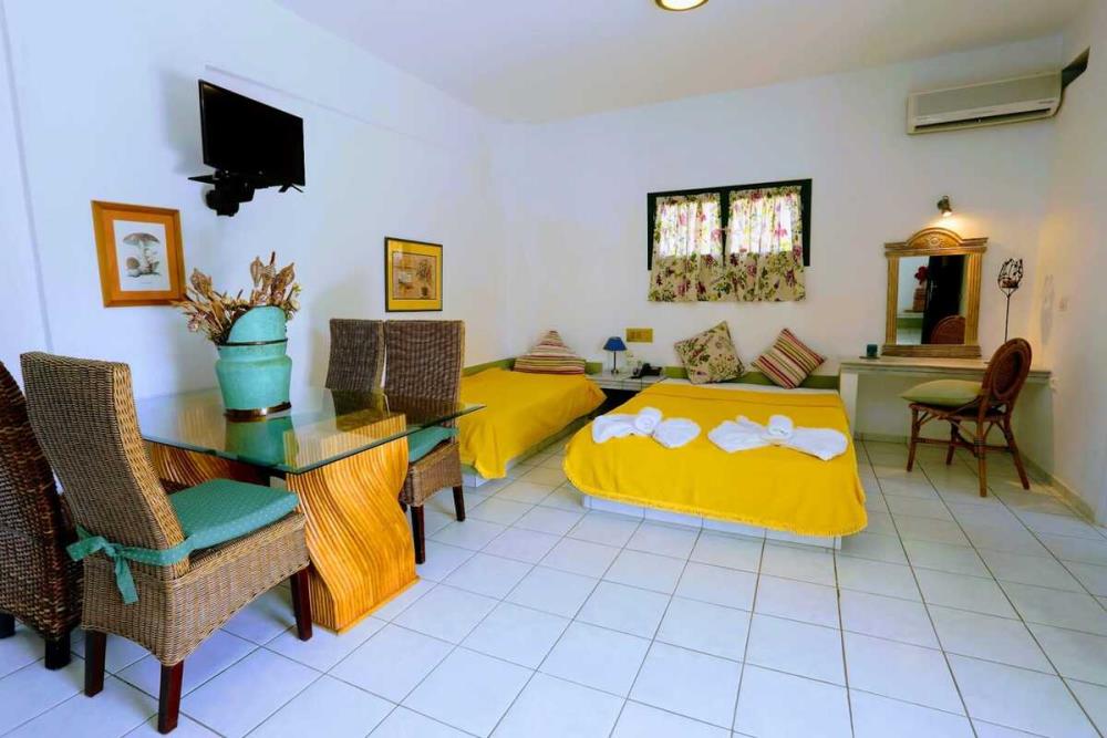 standard-triple-studio-8