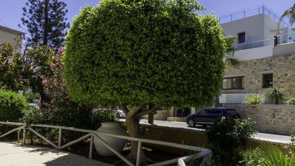 cvill-exteriors-00-lg