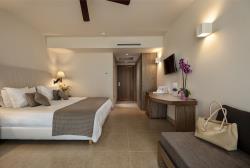 Superior Double Room (Direct pool Access)