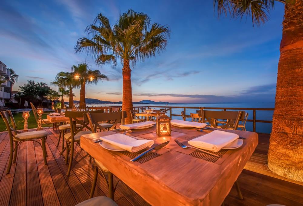 anadalis-new-1-1024x697