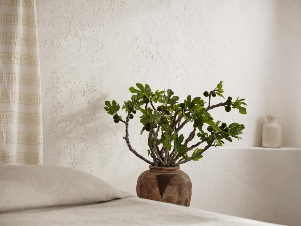 Grand Bohemian Sunset & Sea View Suite with Outdoo