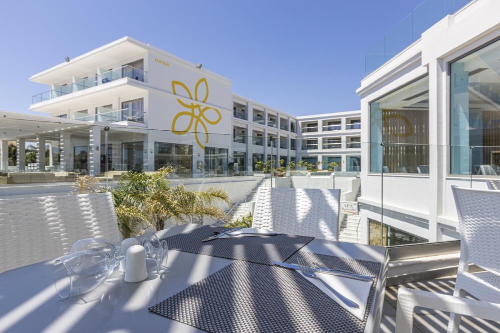 Restaurants & Bars 6