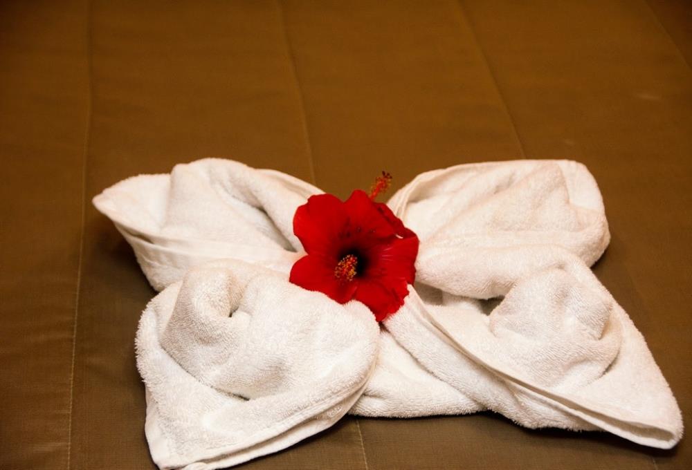 Superior Two Bedroom Apartment Quintable 13