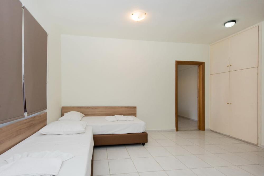 imageedit_23_3345070298